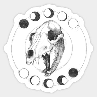 wolf skull Sticker